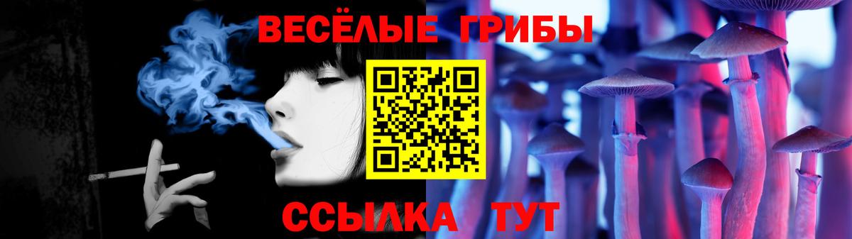 Псилоцибиновые грибы Cubensis Курган